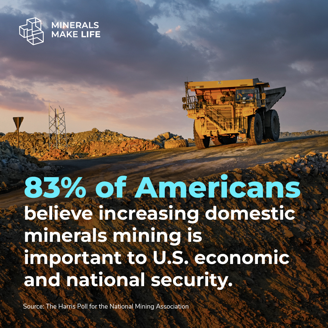 Minerals Make Life tweet media