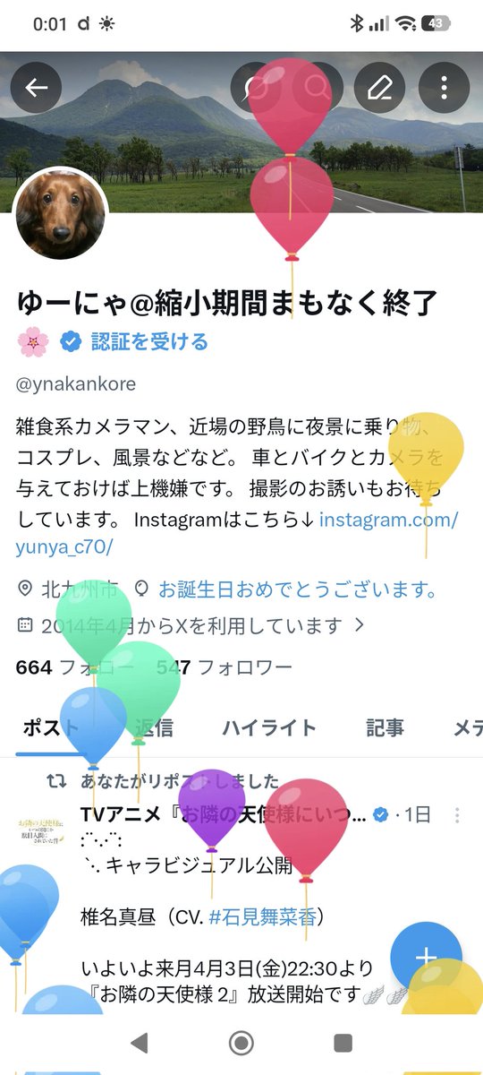 ゆーにゃ@活動再開🌸 tweet media