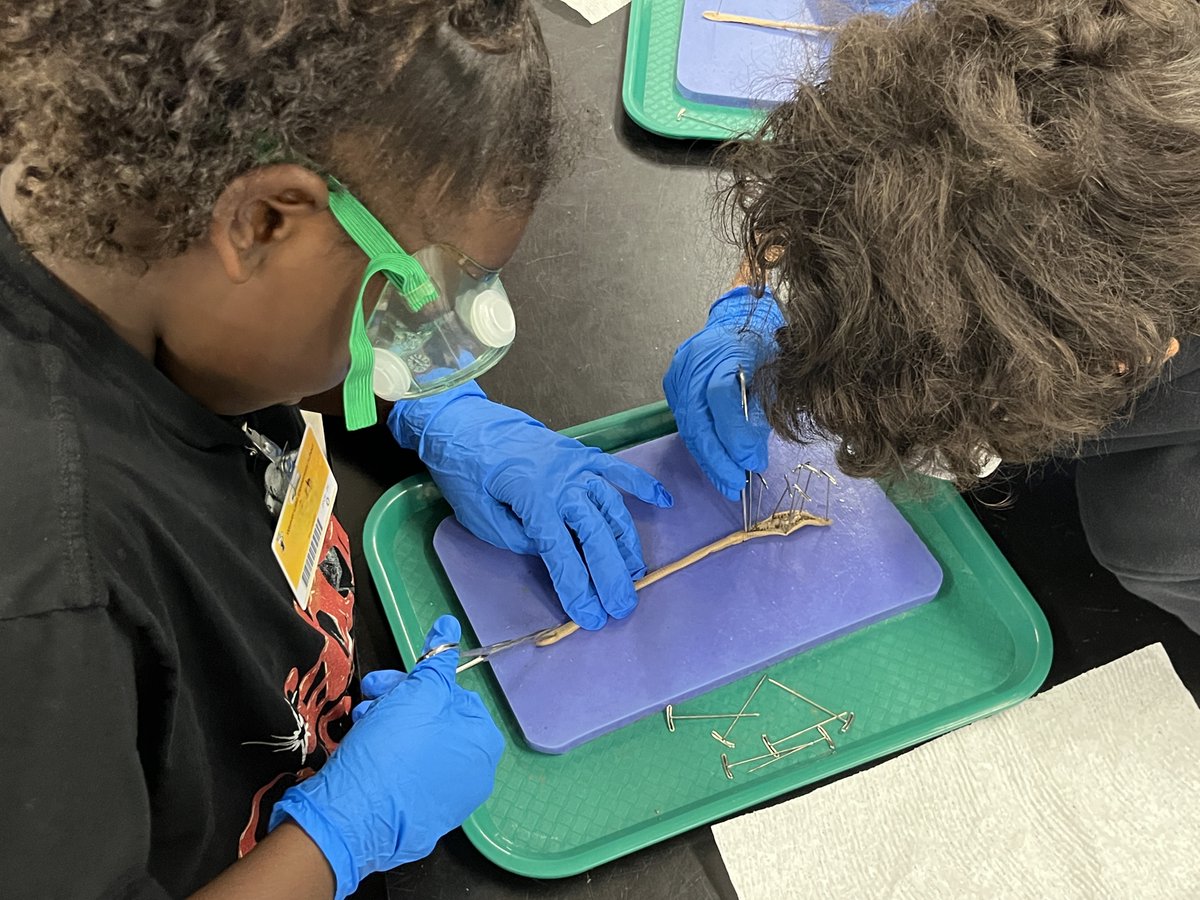 CenterPoint Energy - Minnesota tweet media