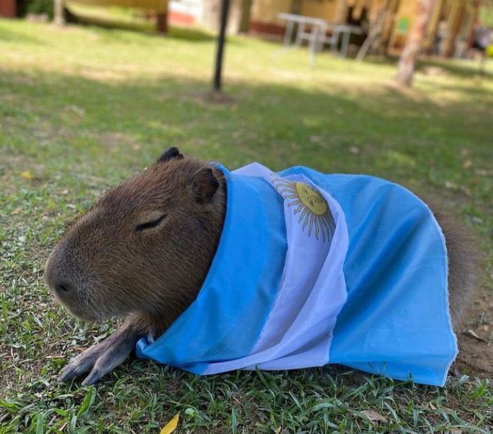 Epygraph Studio tweet media