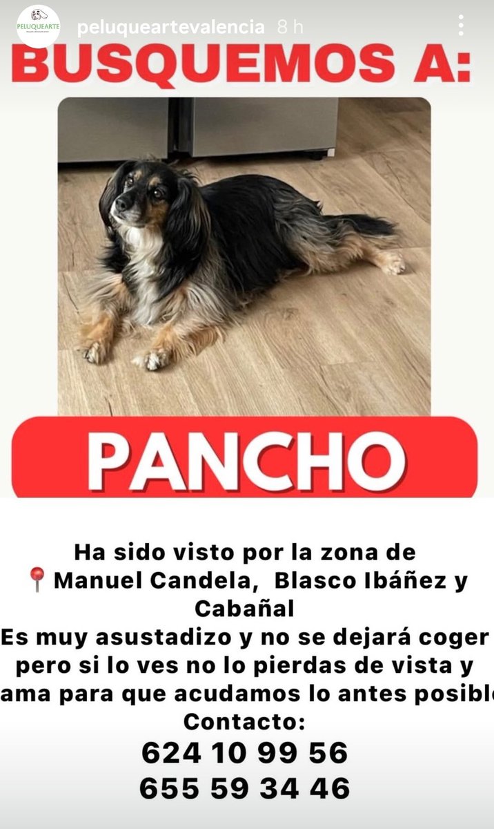 Ha Dedaparecido, ayudar a encontrarlo por favor!!! Difundir
