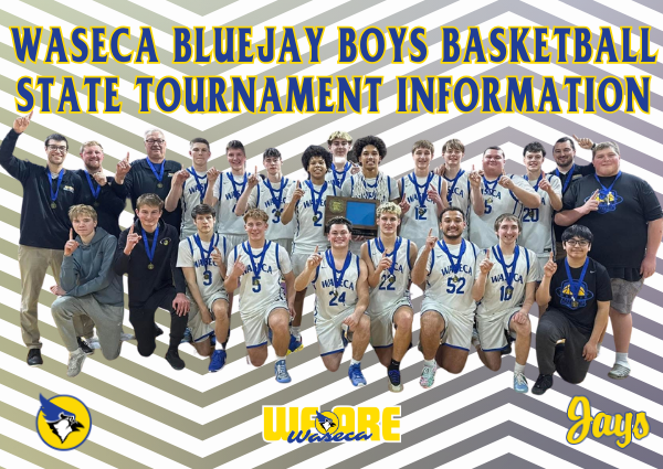 Bluejay Activities tweet media