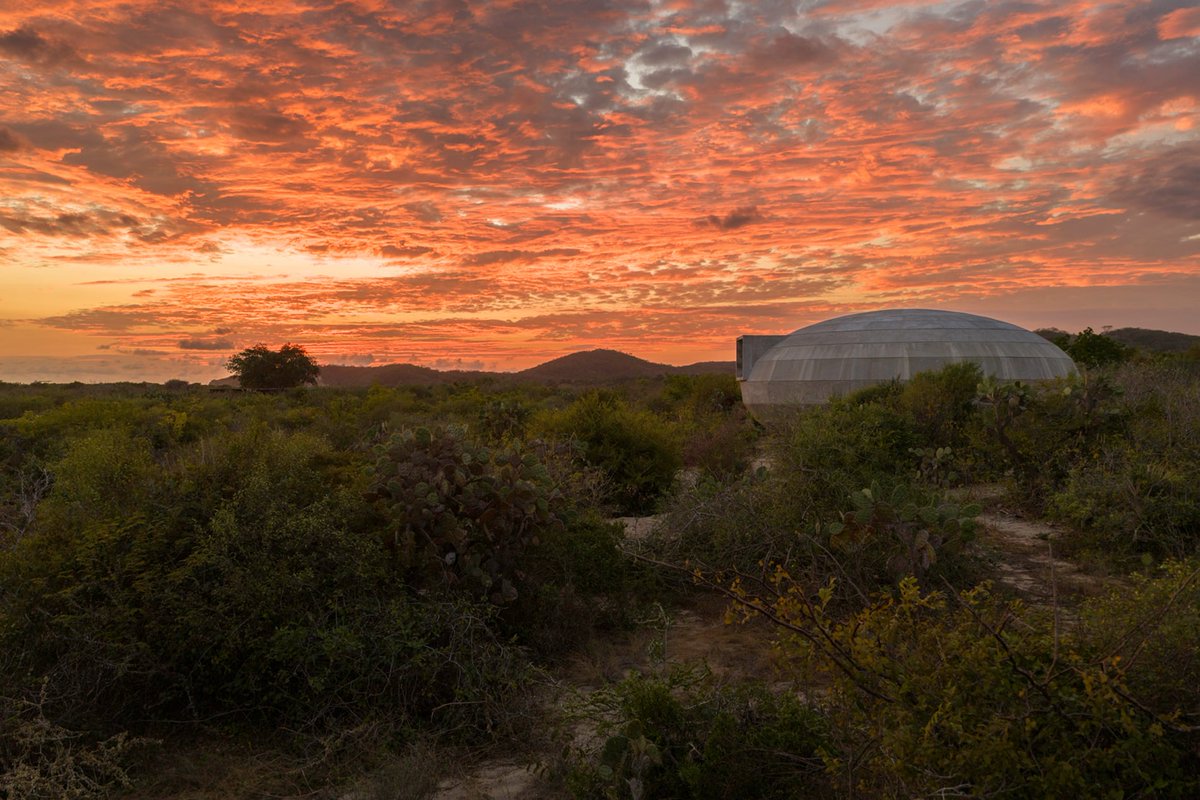Arquine's tweet photo. Pabellón Mushroom, en Puerto Escondido (México), es un volumen elipsoidal dedicado al cultivo de hongos que combina cámaras productivas y un espacio central de encuentro de Fundación Casa Wabi. Un proyecto de OMA. | https://t.co/bAxTXmUSjX https://t.co/MTcMFCTnLo