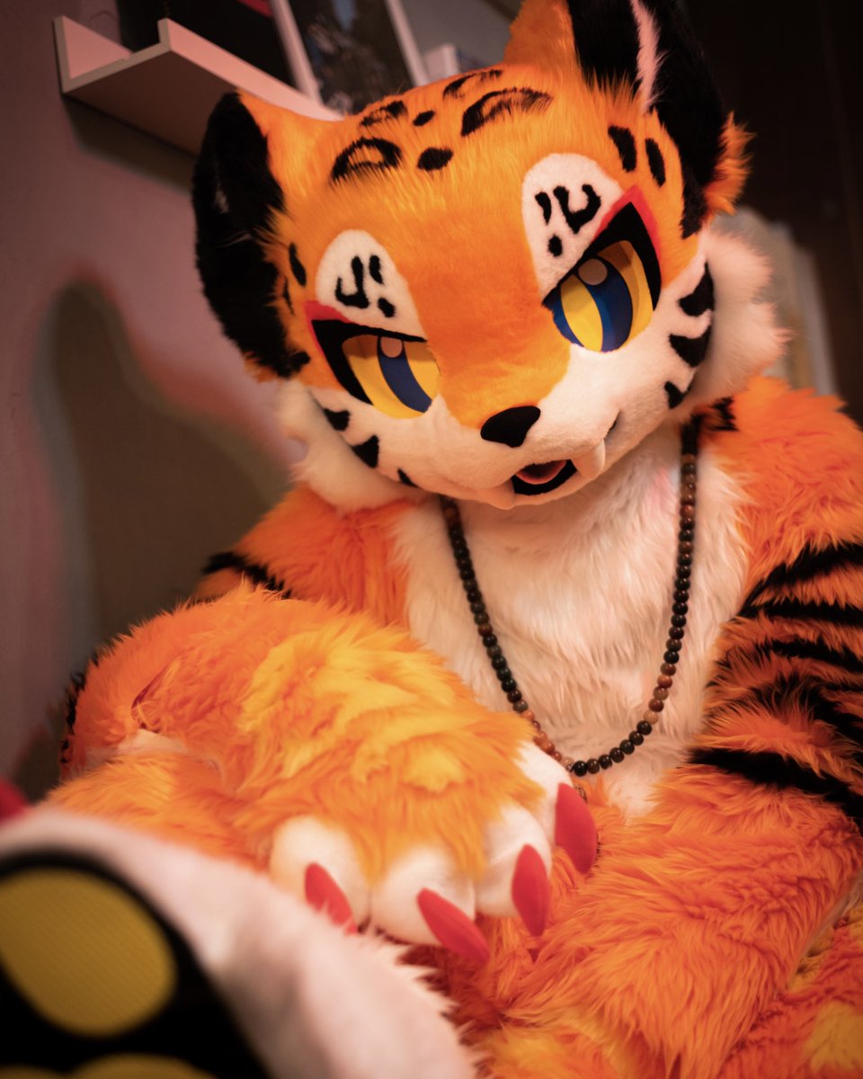 NOËL🔜FURST CLASS tweet media