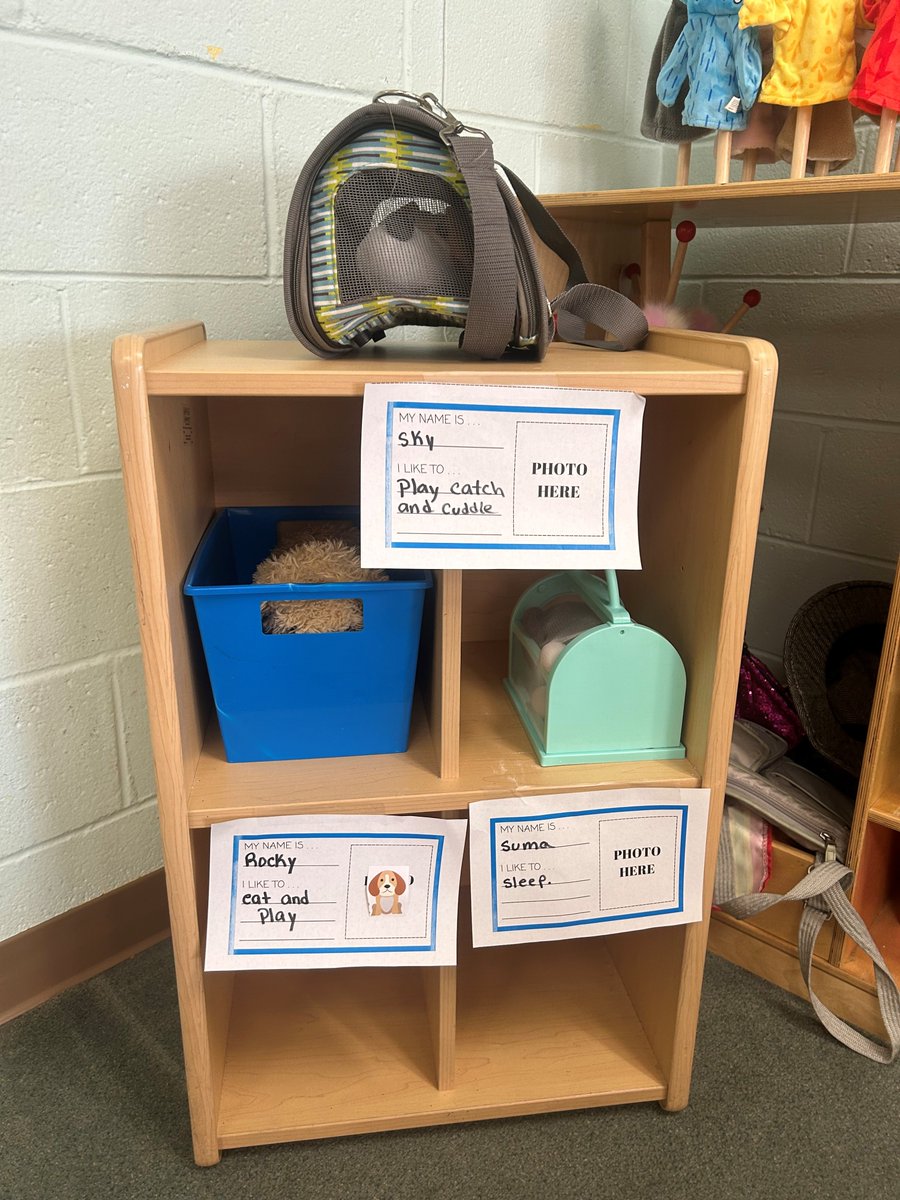 FELS_kids's tweet photo. Our young learners at Paley welcomed stuffed animal “pets” during a special Adoption Activity! 🧸🐶 Through play, they learned how caring for a pet builds responsibility and brings joy to a home.

#HandsOnLearning #CompassionInAction #EarlyLearningFun #AdoptDontShop https://t.co/YNazGtU4NU