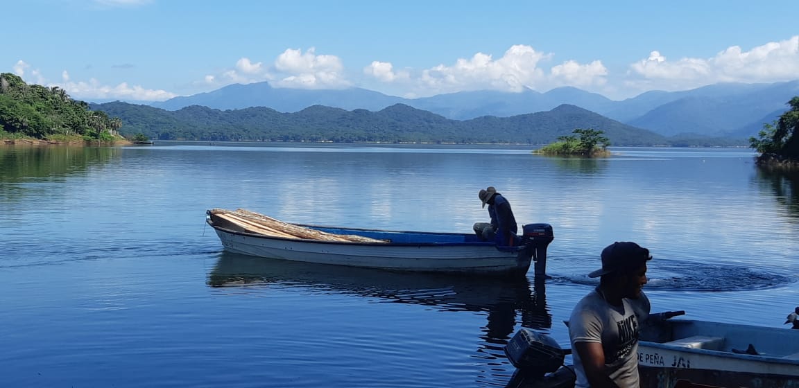 LaDulceGroup's tweet photo. @touri_news A ver si ahora si, ya se ponen las pilas @JaliscoEsMexico y empiezan a RECONCER que La Presa #CajonDePeña tambien esta en #Jalisco 
En el Municipio de #Tomatlan #CostaAlegre mismo lugar donde esta el nuevo aeropuerto. 

¿Porque tanta opacidad, negligencia o les vale? https://t.co/QOCw0YK0fl