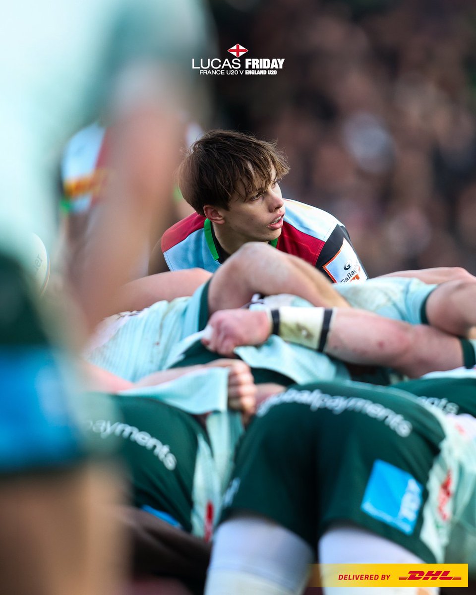 Harlequins 🃏 tweet media