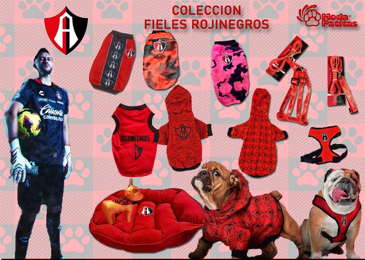 Moda Patitas tweet media