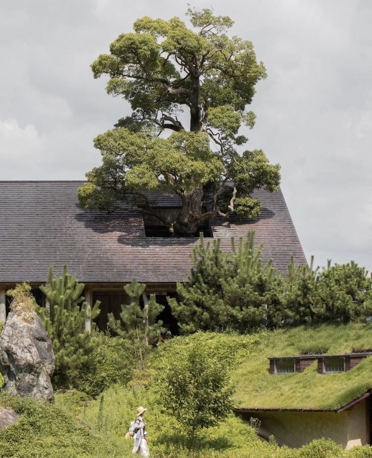 musesarchive's tweet photo. if maintenance weren't an issue you’d catch me with a giant tree growing inside my house https://t.co/66cEICN5dY