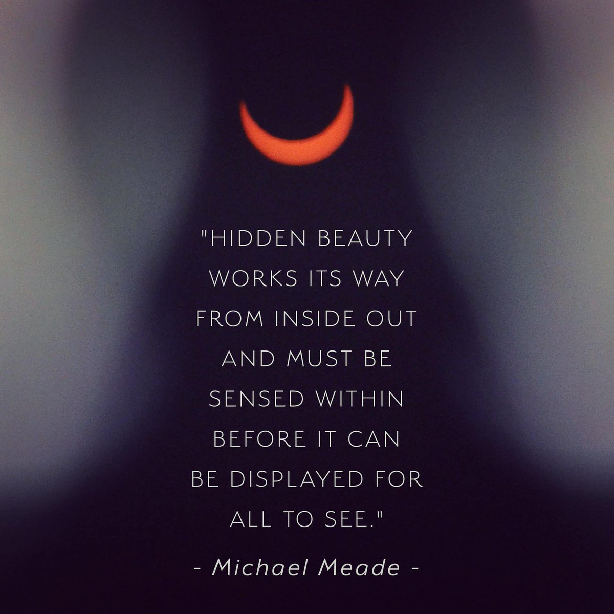 Michael Meade tweet media