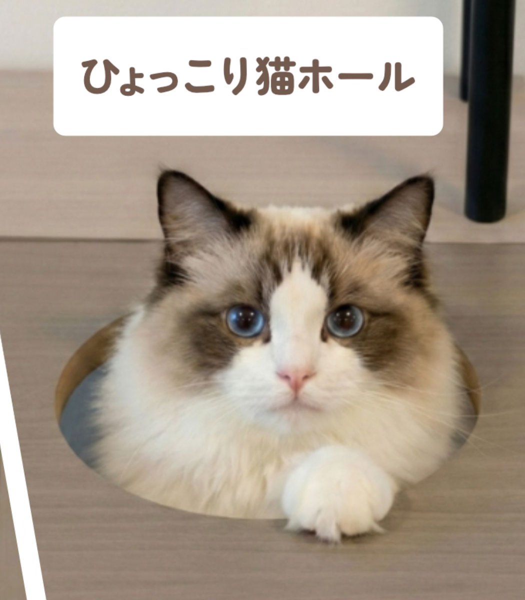 A desk has gone viral for having its own cat compartment for your pet

It features a hidden tunnel, a peek-out hole, and easy access to your lap