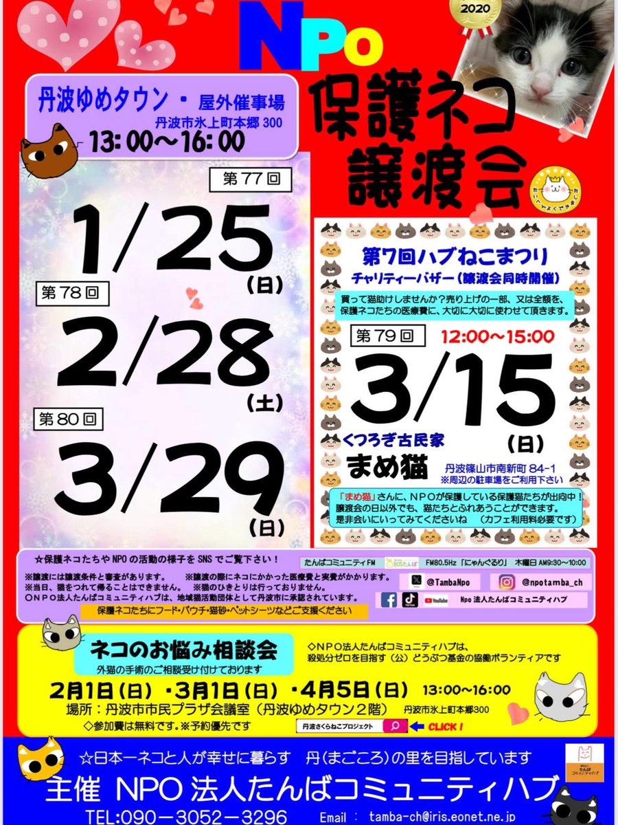 🐾 保護ネコ譲渡会のお知らせ 🐾

猫を家族に迎えたい方、ぜひ会いに来てください🐱

📅 3月15日(日) 12:00〜15:00
📍 くつろぎ古民家 猫カフェまめ猫（丹波篠山市）
<a href="/mameneko_cafe/">くつろぎ古民家まめ猫</a>
兵庫県丹波篠山市南新町84-1

ハブねこまつり
チャリティーバザー同時開催
買って猫助けよろしくお願いいたします