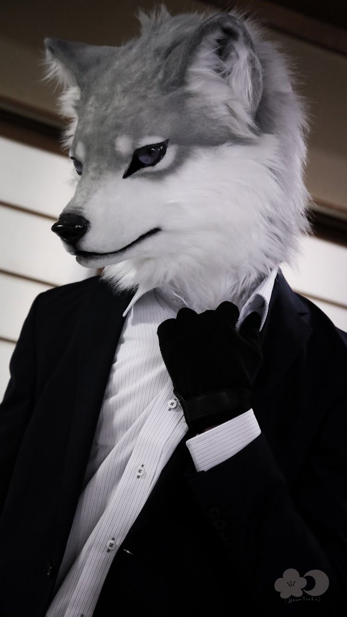 ザイン tweet media