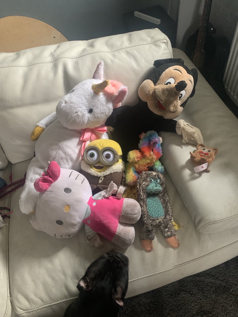 Daisy cliff 🐄 tweet media