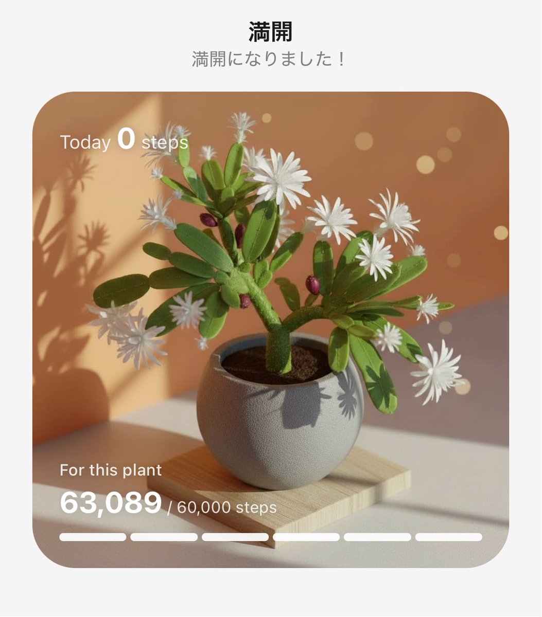 すみす🐨 tweet media