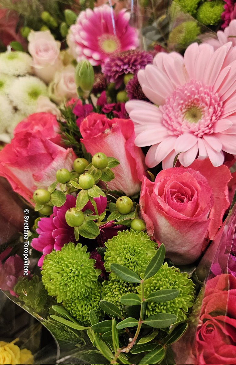 Svetlana Toropovienė ® tweet media