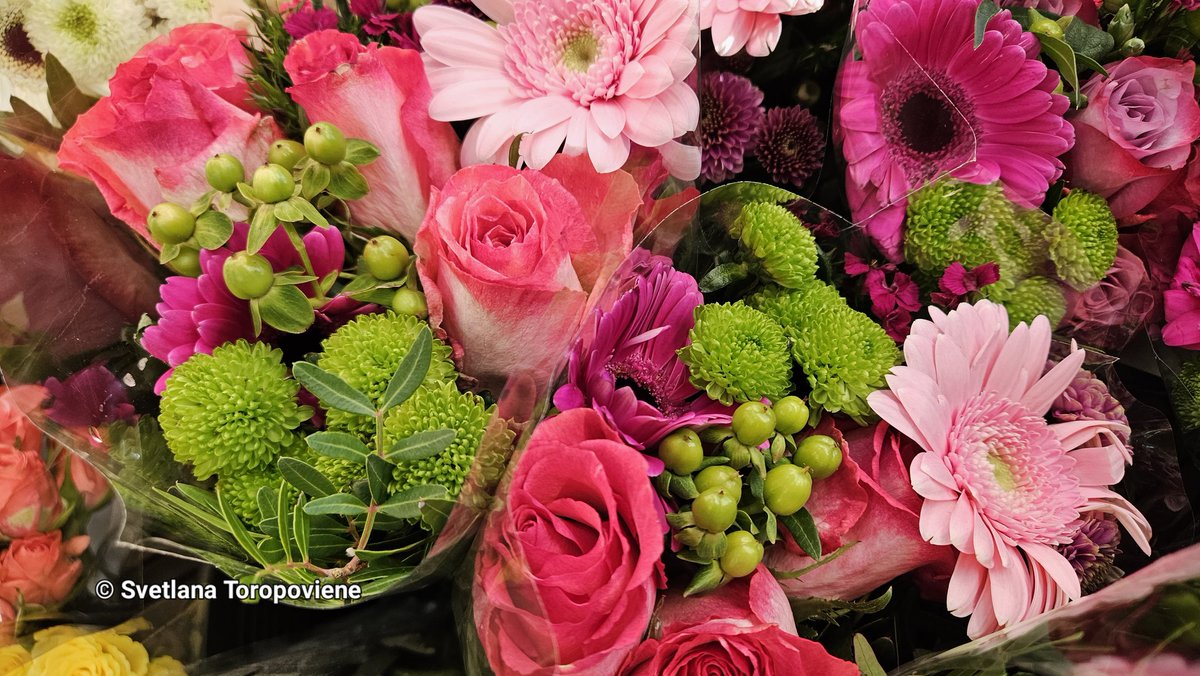 Svetlana Toropovienė ® tweet media