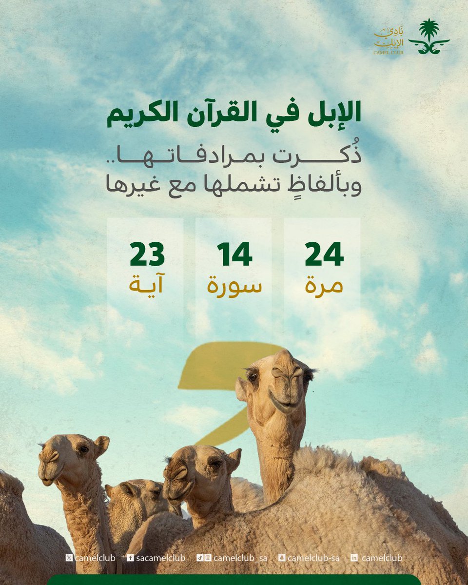 نادي الإبل tweet media