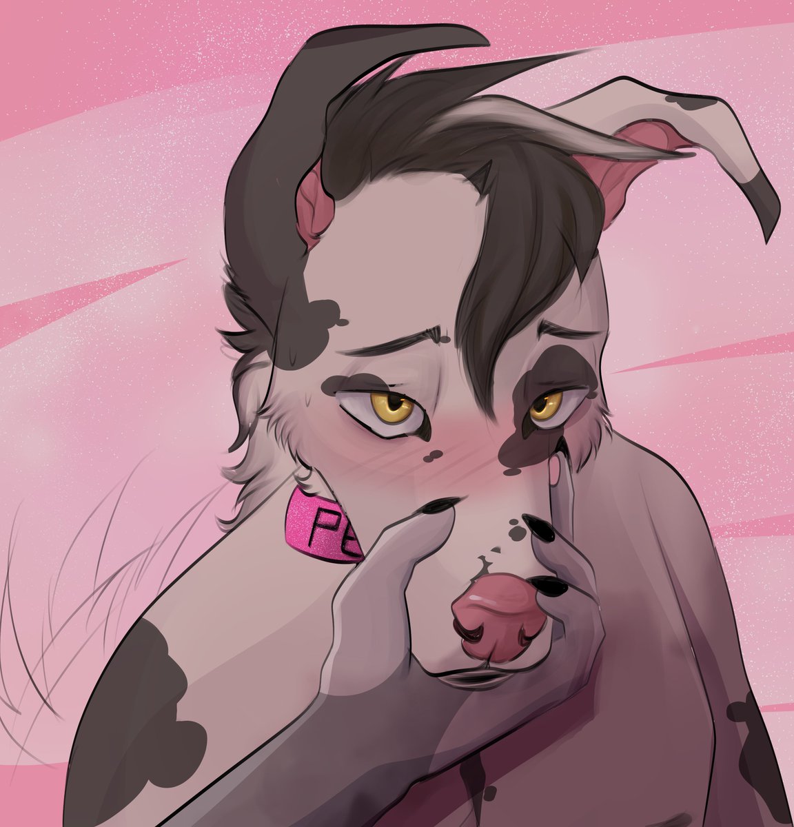 simplydog 🔞 tweet media