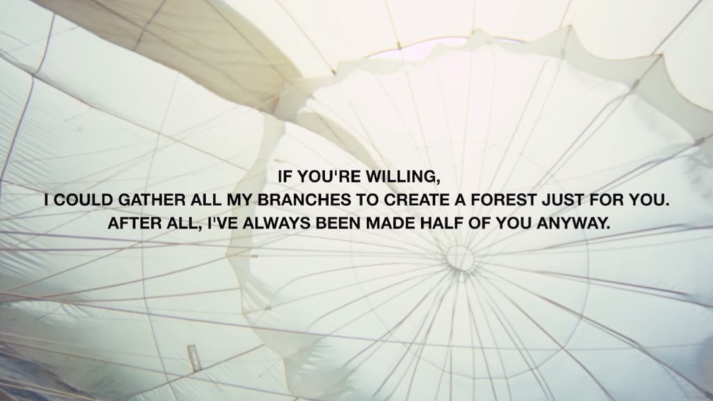 kitty🪽 tweet media