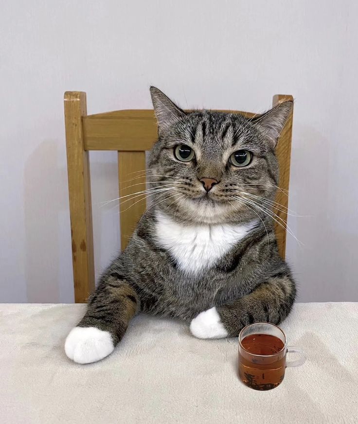 Brandon ッ tweet media