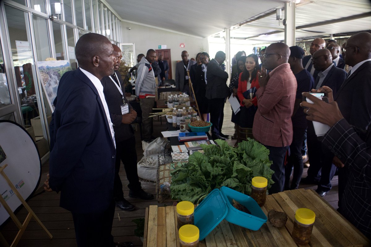 Takunda RFSA tweet media