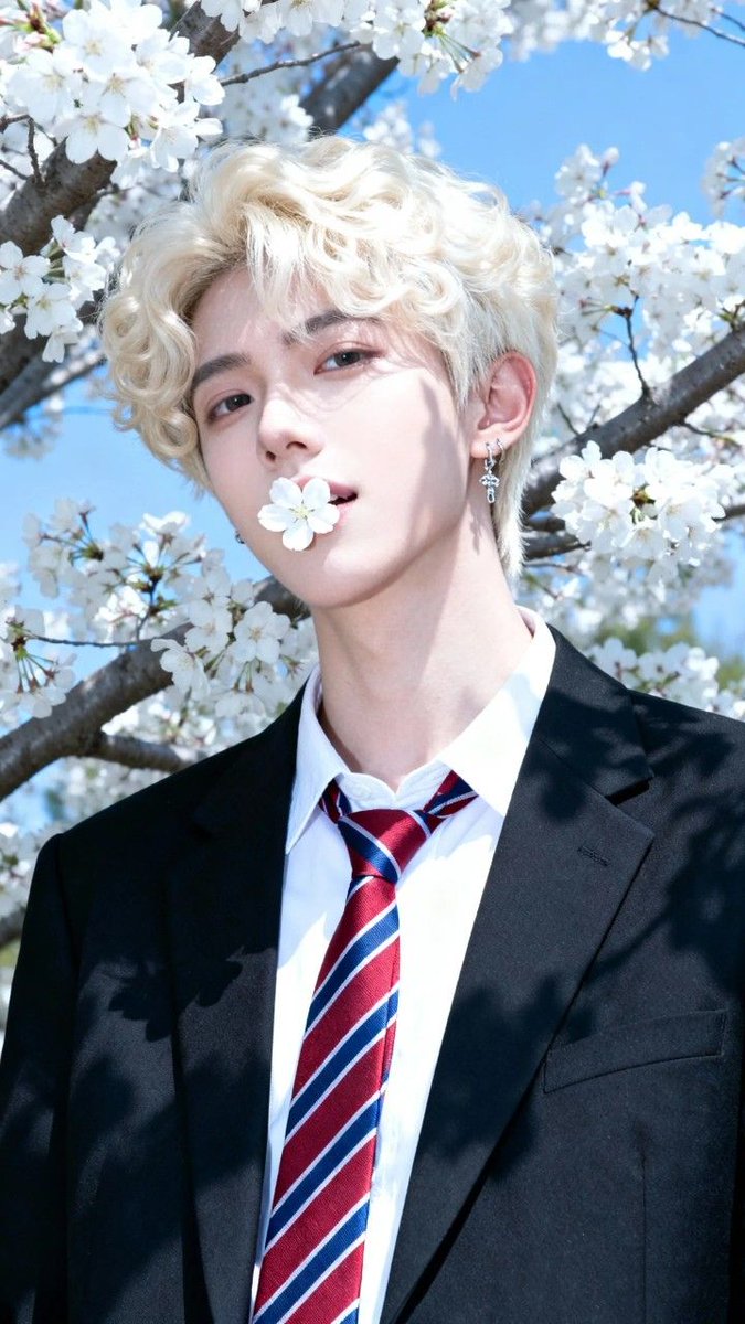 𝐋𝐢𝐚𝐦 tweet media