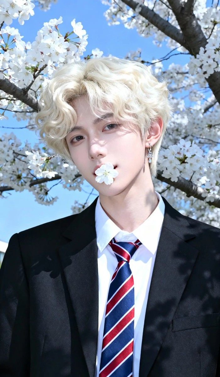 𝐋𝐢𝐚𝐦 tweet media