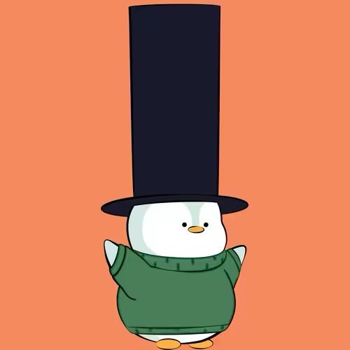 kiton 🏝️ tweet media