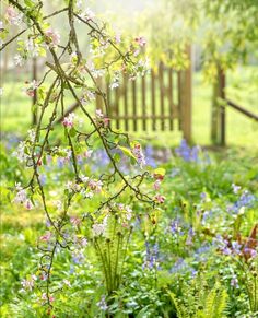 Linda Mahkovec tweet media