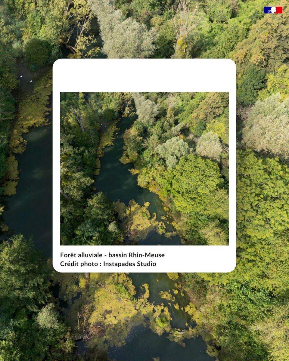 En Immersion, le média des agences de l'eau tweet media