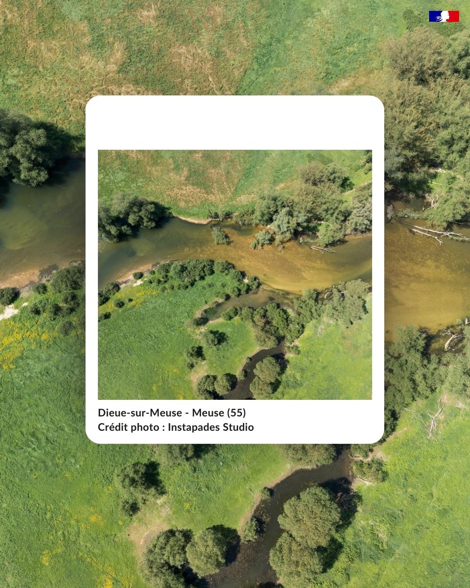 En Immersion, le média des agences de l'eau tweet media