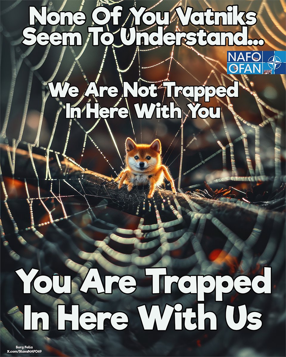 Let's look out for each other, no idea what's going on.