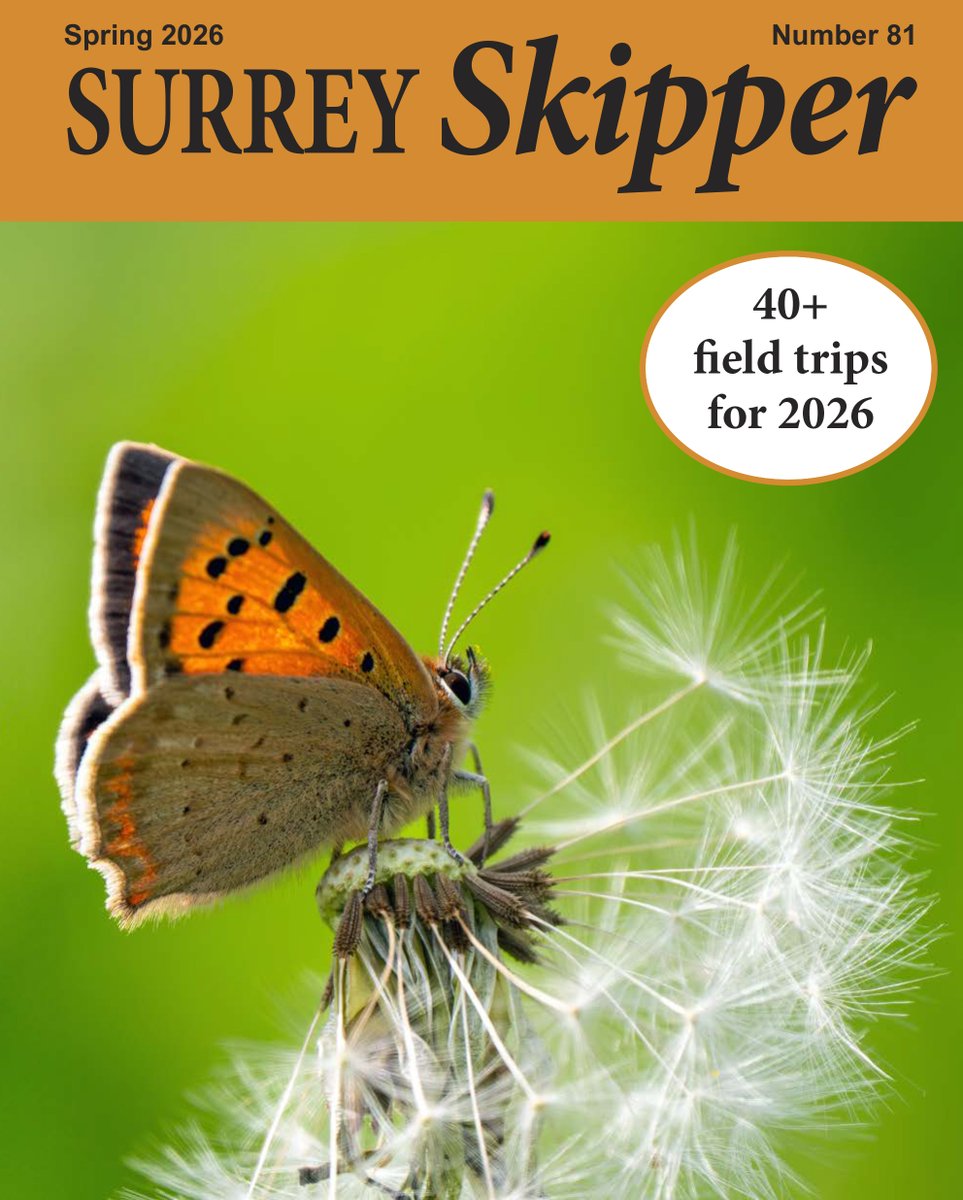 Francis Kelly tweet media