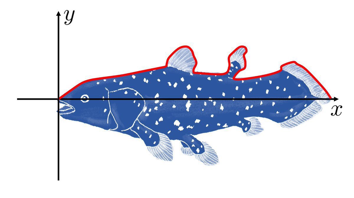 横山 明日希 tweet media