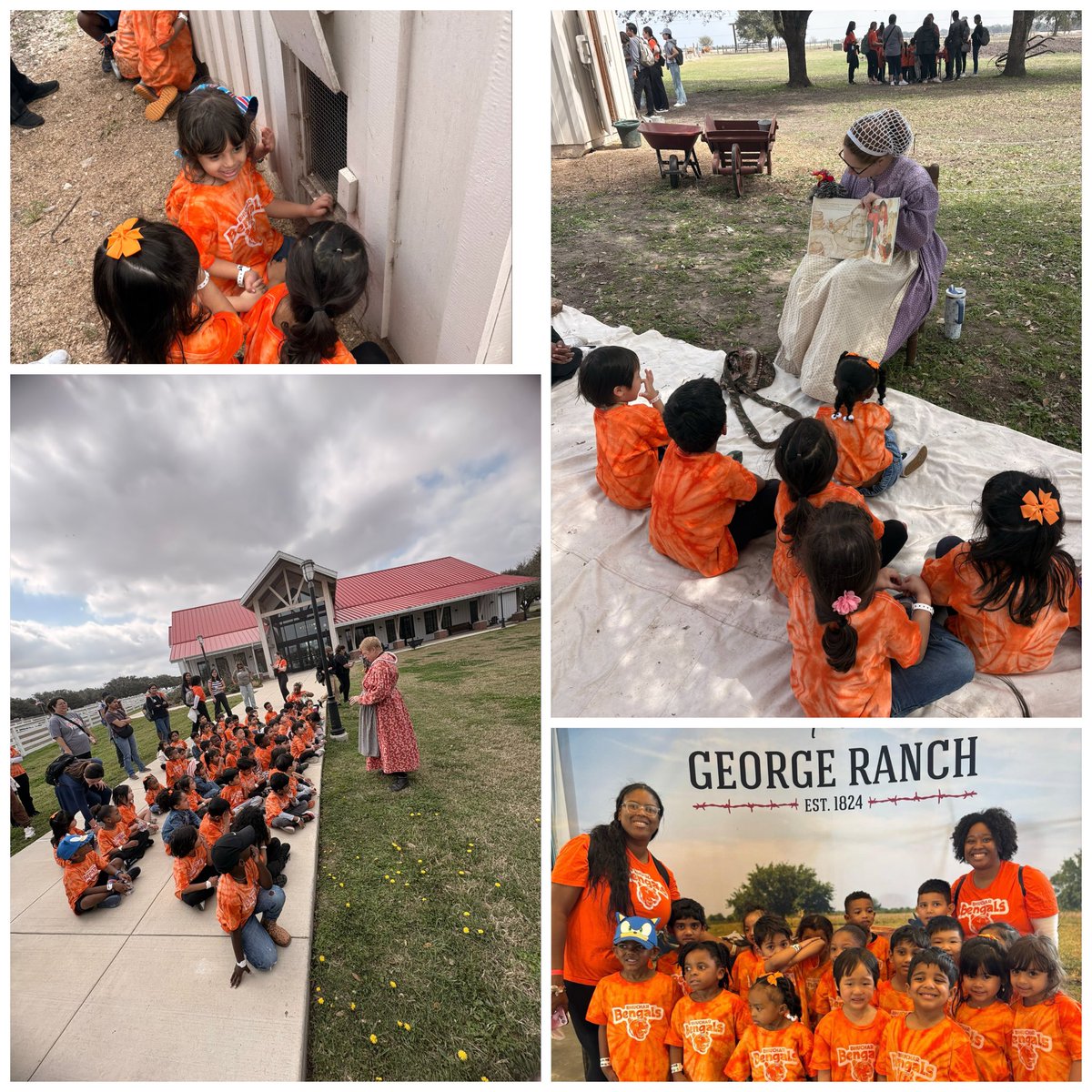 rachael susaneck tweet media