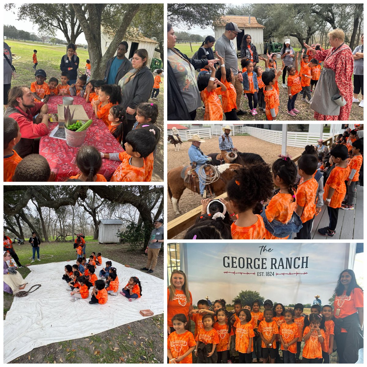 rachael susaneck tweet media