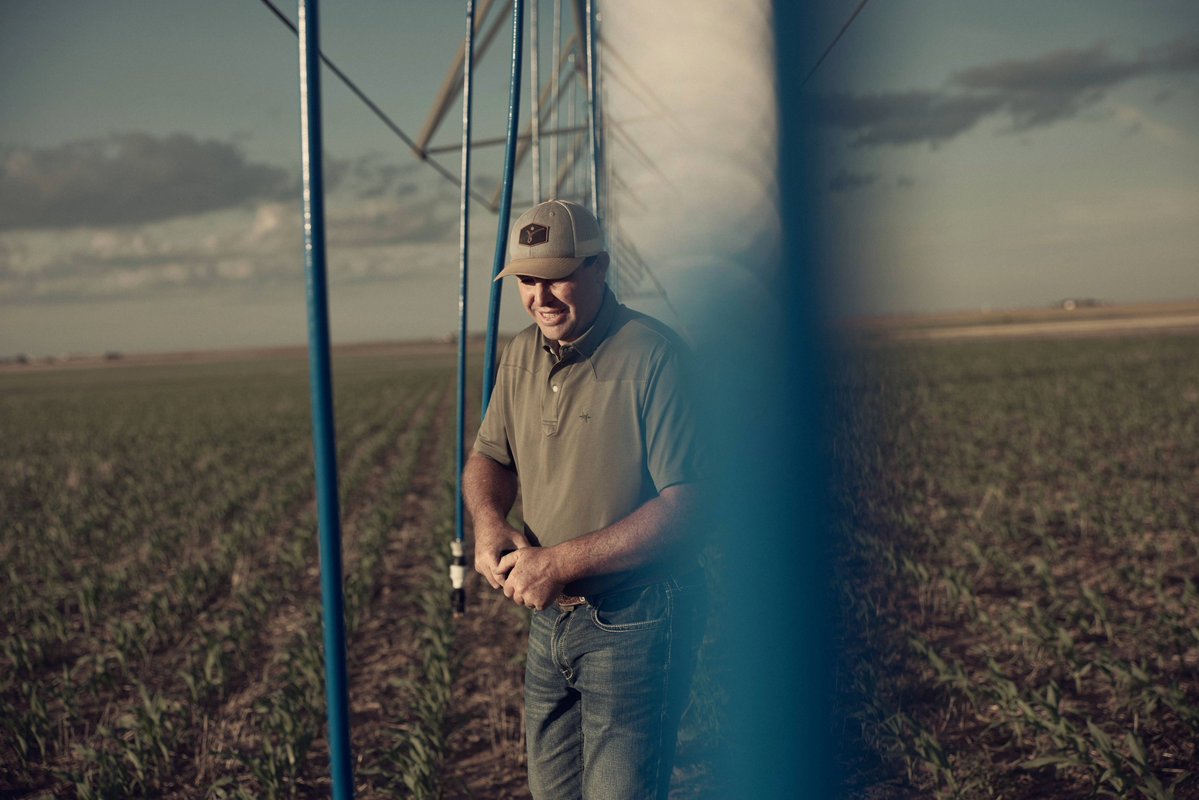 Texas Corn Producers tweet media