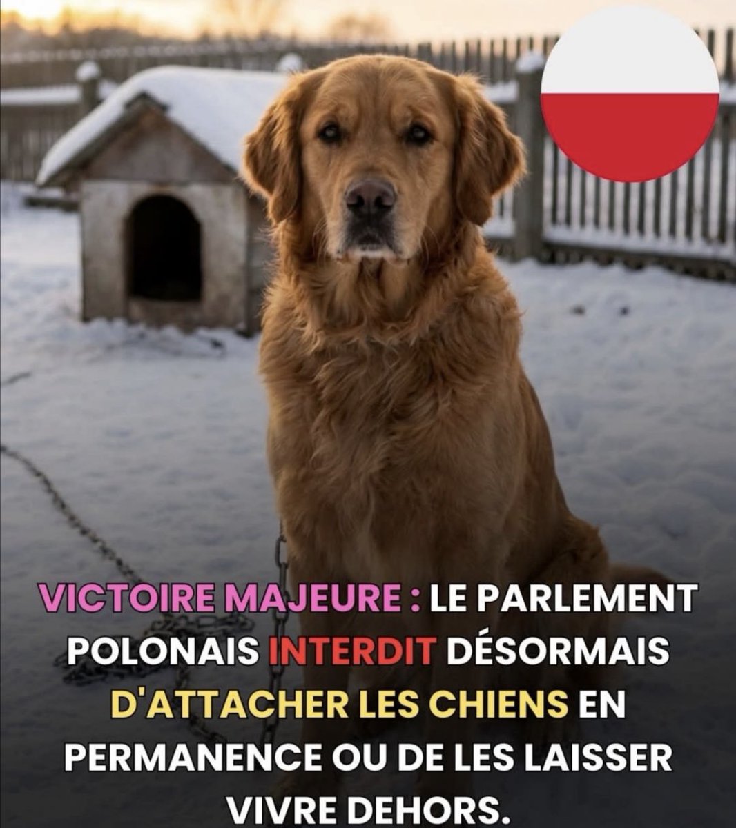 Éric Z… tweet media