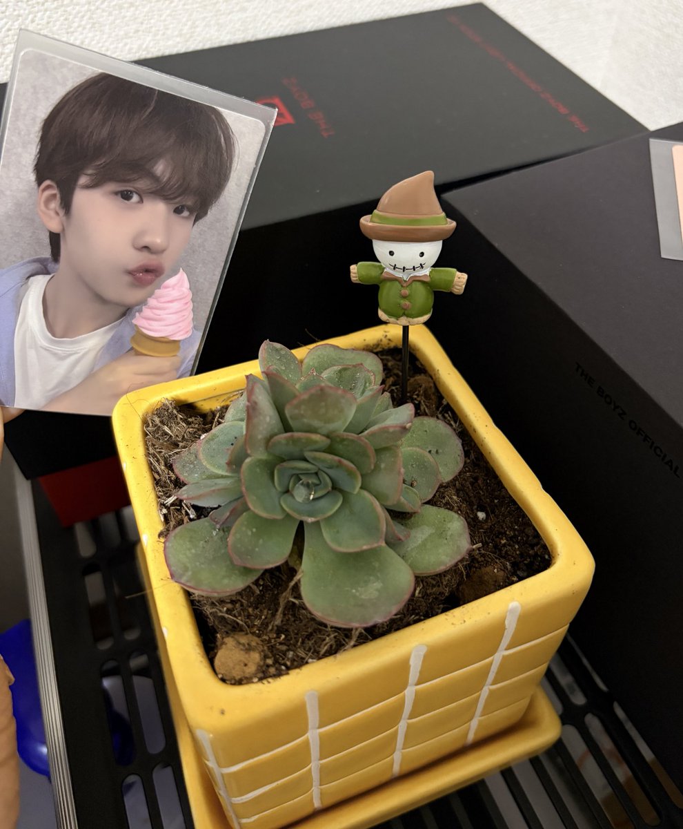 rurijjang_'s tweet photo. ์์ผ ์ถํํด ์ธ ์ ๊ธฐใ
ฃใ
ฃใ
ฃใ
ฃ
๋ณด๊ณ ์ํผใ
๋นจ๋ฆฌ ๋ง์์์~๐ฉต
#HyunjunShiningAt17
#HappyPandaDay
#ํ์ค์ด์ํจ๊ป
#JUNGHYUNJUN
#์ ํ์ค https://t.co/hNdtKWcnpr