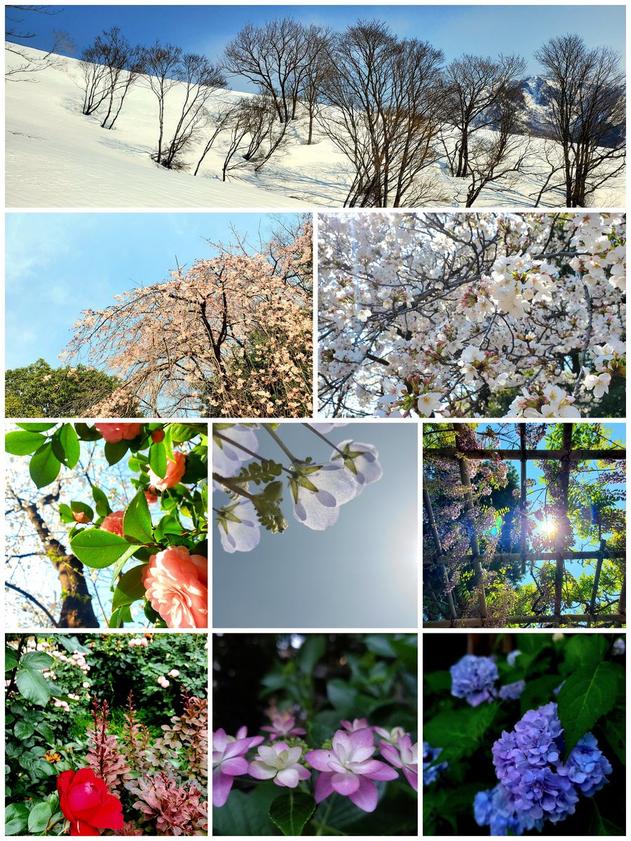 rainbow_kmk's tweet photo. 42歳の私が見ていた世界

また1つ歳を重ねました
43歳の私は
どんな風景を見ていくのでしょうか
どんな1年になるのか
楽しみで仕方ありません

人生まだまだこれからだ！

#42歳の私が見ていた世界
#写真好きな人と繋がりたい
#スマホ越しの私の世界
#スマホで写真を撮る人
#詰め合わせ
#固定変更 https://t.co/liGf8I5p91