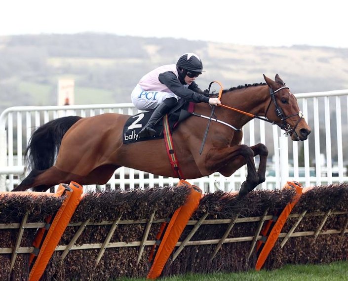 CheltenhamGhost's tweet photo. Big one next.
Bob Olinger 🐎
#CheltenhamFestival https://t.co/qRRwEZ7rR8