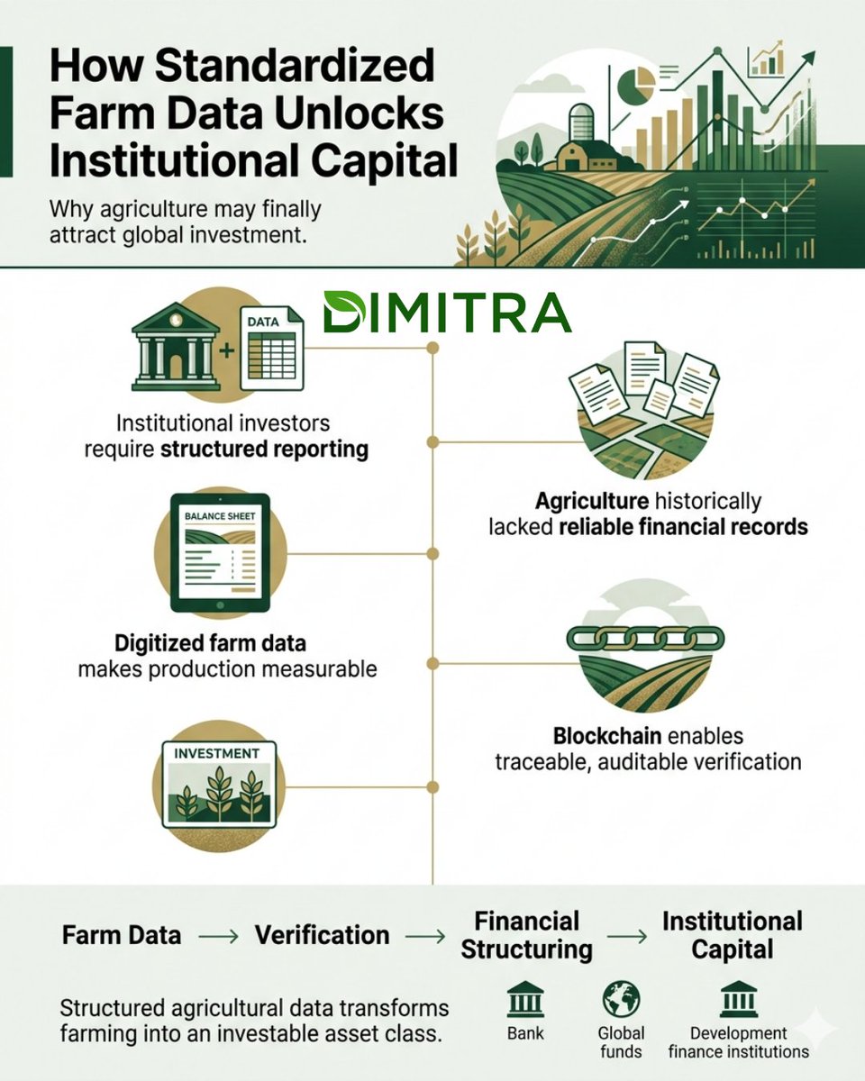 lets DYOR tweet media