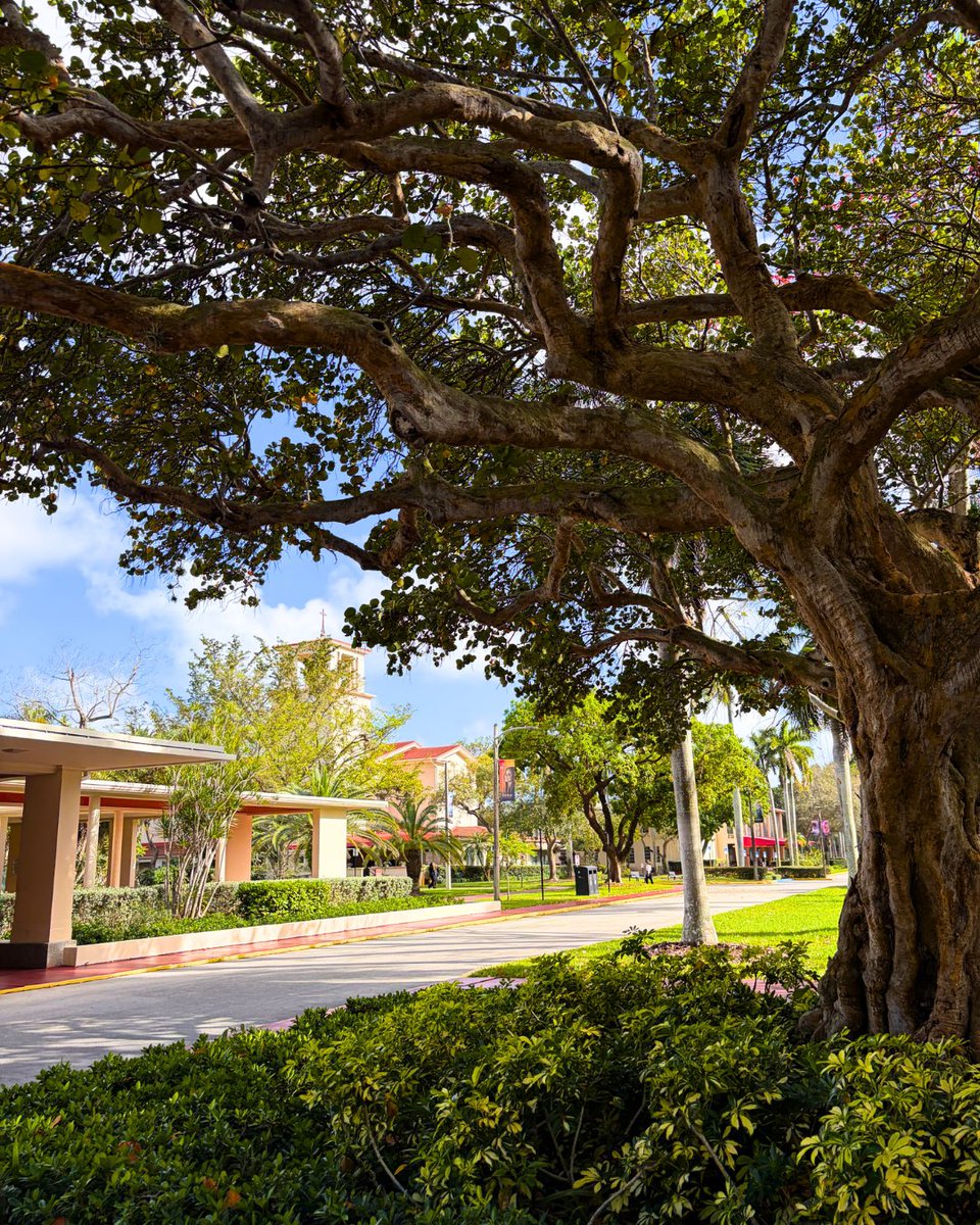 Barry University tweet media