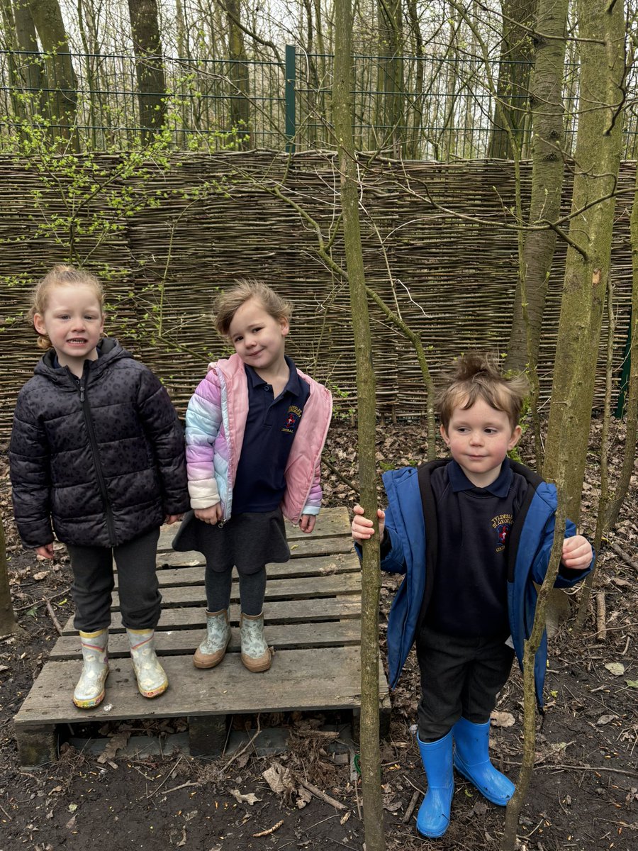 Miss Taylor tweet media