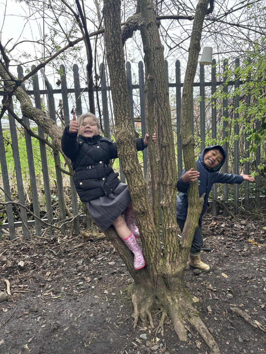 Miss Taylor tweet media