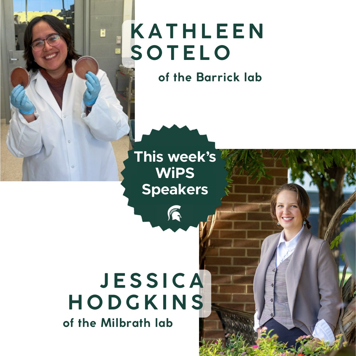 MSU Microbiology, Genetics, & Immunology tweet media