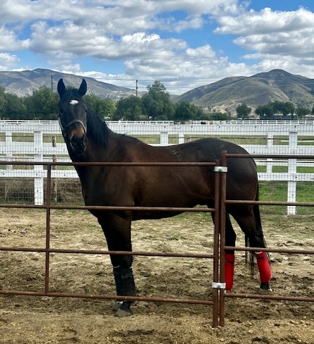 AftertheFinishLine tweet media