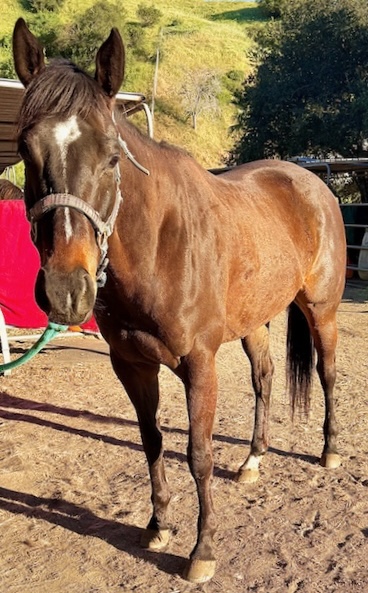 AftertheFinishLine tweet media