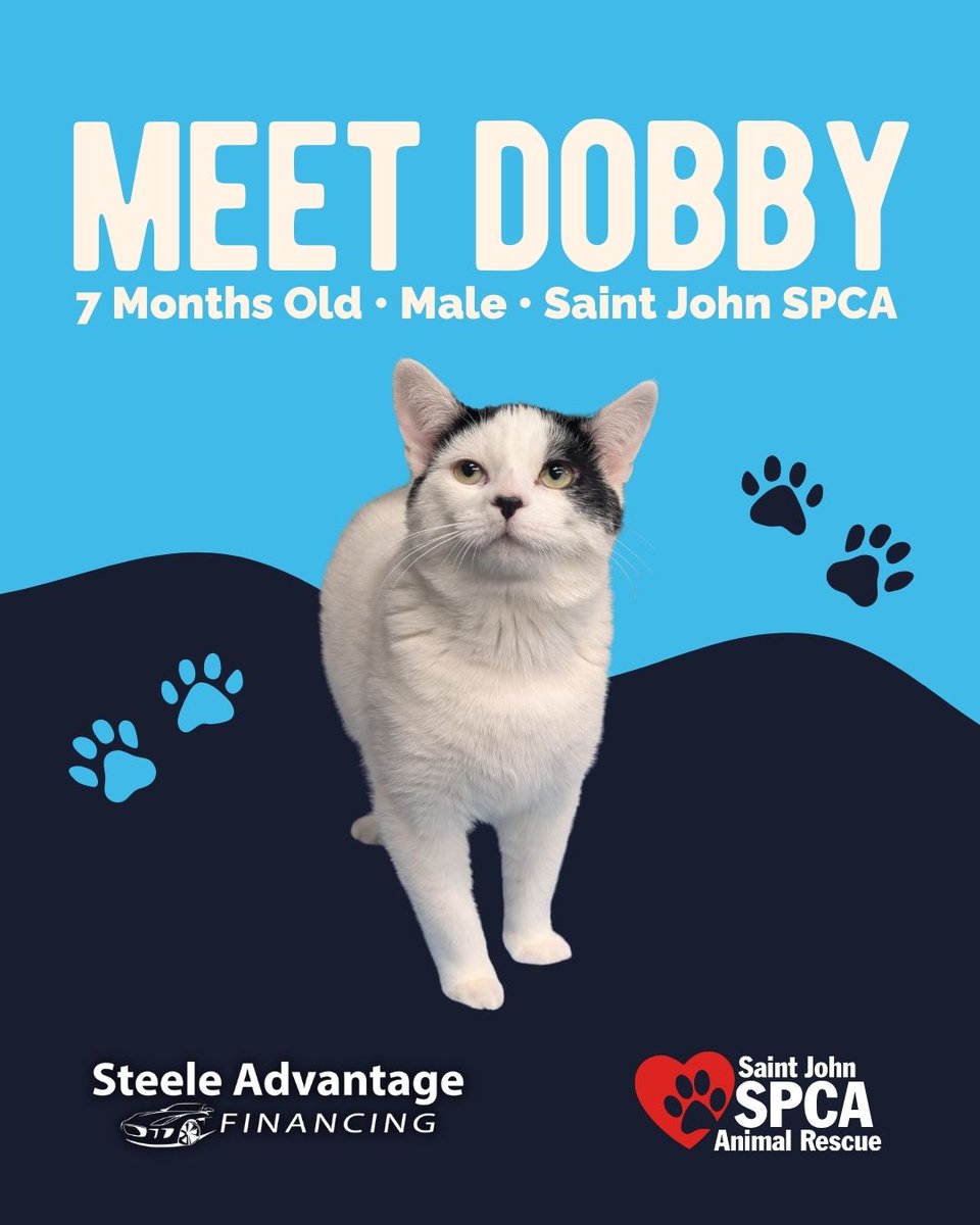 Steele Advantage Financing tweet media